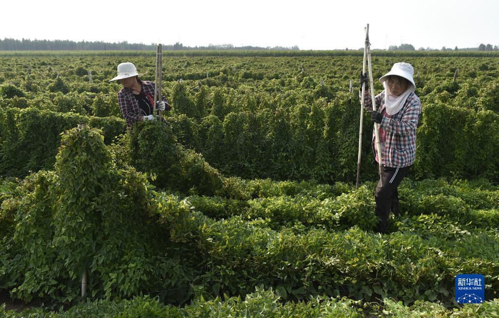 星力版下分捕鱼游戏注册送分